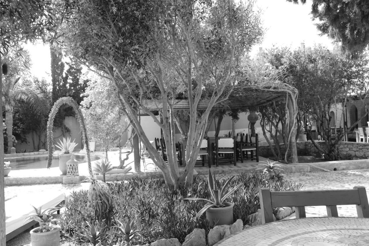 Villa Grenadine Essaouira Ngoại thất bức ảnh
